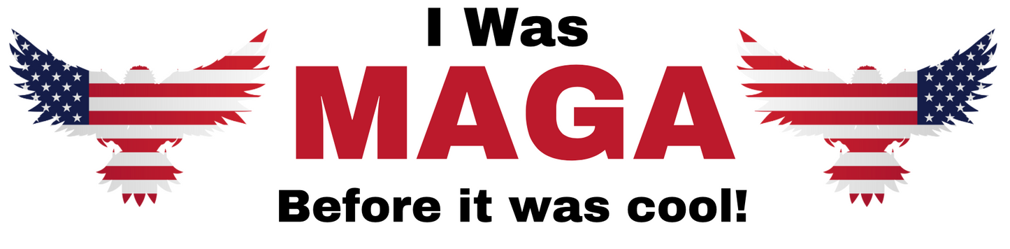 Bumper Sticker 3" x 11"