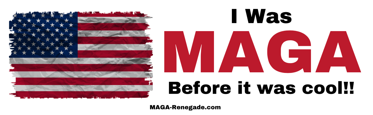 Bumper Sticker 3" x 11"